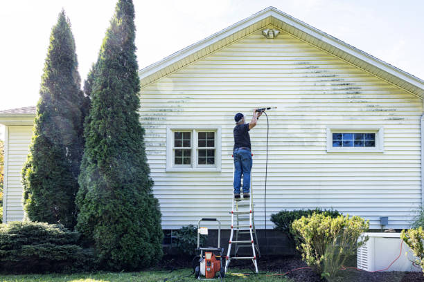 Best Solar Panel Cleaning  in Etowah, NC